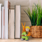 Le Petit Prince et son renard